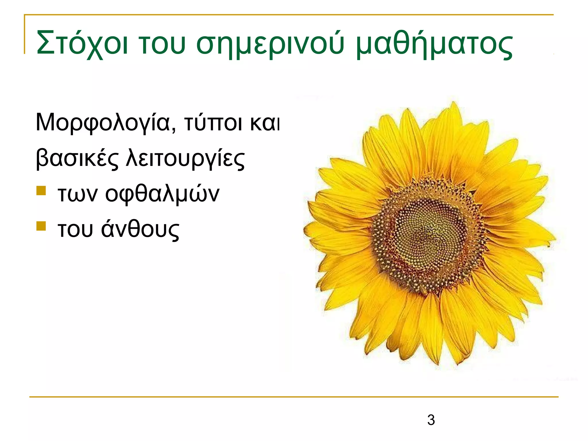 3
Στόχοι του σημερινού μαθήματος
Μορφολογία, τύποι και
βασικές λειτουργίες
 των οφθαλμών
 του άνθους
 