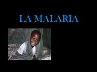 LA MALARIA
•Realizado por:
–Irene Brera
–Lizana Casanova.
•Asignatura:
–CMC
•Curso:
– B1ºC
 