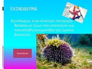 ΕΦΙΝΟΔΕΡΜΑ
Εχινόδερμα, εύναι ιδιαύτερη κατηγορύα
θαλϊςςιων ζώων που αποτελούν μια
πολυπληθό ςυνομοταξύα του ζωικού
βαςιλεύου.
Αςπόνδυλα
 