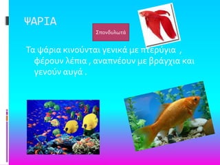 ΧΑΡΙΑ
Σα ψϊρια κινούνται γενικϊ με πτερύγια ,
φϋρουν λϋπια , αναπνϋουν με βρϊγχια και
γενούν αυγϊ .
΢πονδυλωτϊ
 