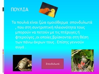 ΠΟΤΛΙΑ
Σα πουλιϊ εύναι ζώα ομοιόθερμα ςπονδυλωτϊ
, που ςτη ςυντριπτικό πλειονότητα τουσ
μπορούν να πετούν με τισ πτϋρυγεσ ό
φτερούγεσ ,οι οπούεσ βρύςκονται ςτη θϋςη
των πϊνω ϊκρων τουσ . Επύςησ γεννούν
αυγϊ .
΢πονδυλωτϊ
 