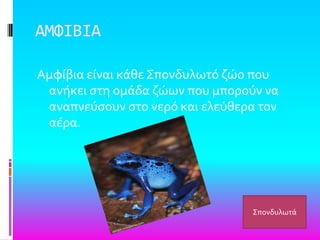 ΑΜΥΙΒΙΑ
Αμφύβια εύναι κϊθε ΢πονδυλωτό ζώο που
ανόκει ςτη ομϊδα ζώων που μπορούν να
αναπνεύςουν ςτο νερό και ελεύθερα τον
αϋρα.
΢πονδυλωτϊ
 