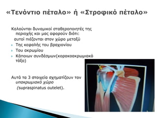 Θαινχληαη δπλακηθνί ζηαζεξνπνηεηέο ηεο
πεξηνρήο θαη καο αθνξνχλ δηφηη:
απηνί πηέδνληαη ζηνλ ρψξν κεηαμχ
 Ρεο θεθαιήο ηνπ βξαρηνλίνπ
 Ρνπ αθξσκίνπ
 Θάπνησλ ζπλδέζκσλ(θνξαθναθξσκηαθφ
ηφμν)
Απηά ηα 3 ζηνηρεία ζρεκαηίδνπλ ηνλ
υπακρωμιακό χώρο
(supraspinatus outelet).
 