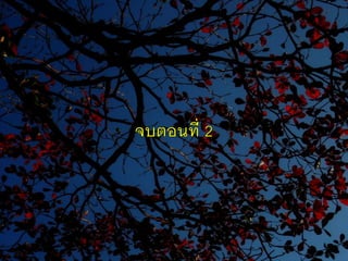 งานดูแลรักษาต้นไม้ในเขตเมือง 2 หลักการดูแลรักษาต้นไม้ใหญ่