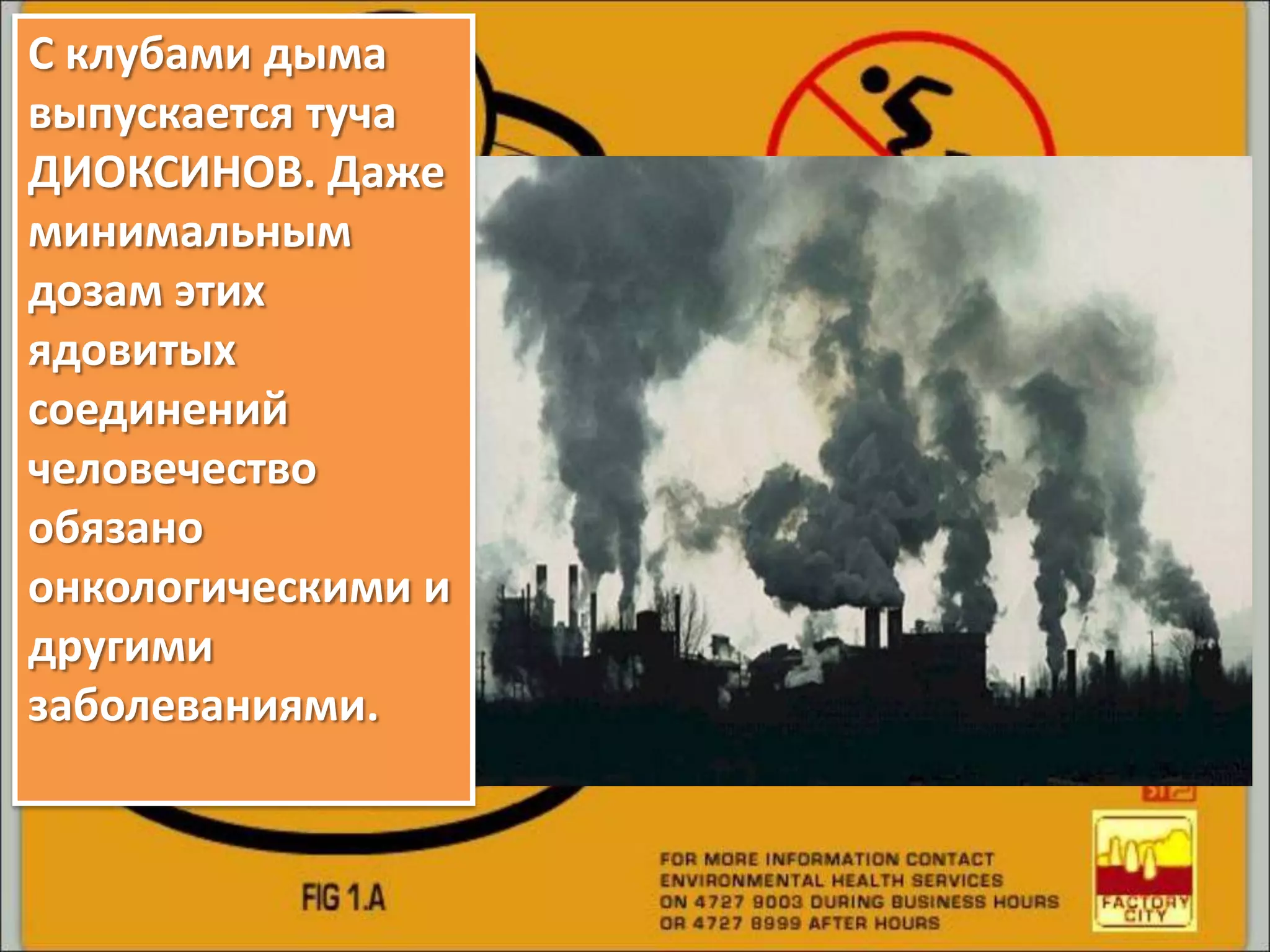 С клубами дыма
выпускается туча
ДИОКСИНОВ. Даже
минимальным
дозам этих
ядовитых
соединений
человечество
обязано
онкологическими и
другими
заболеваниями.
 
