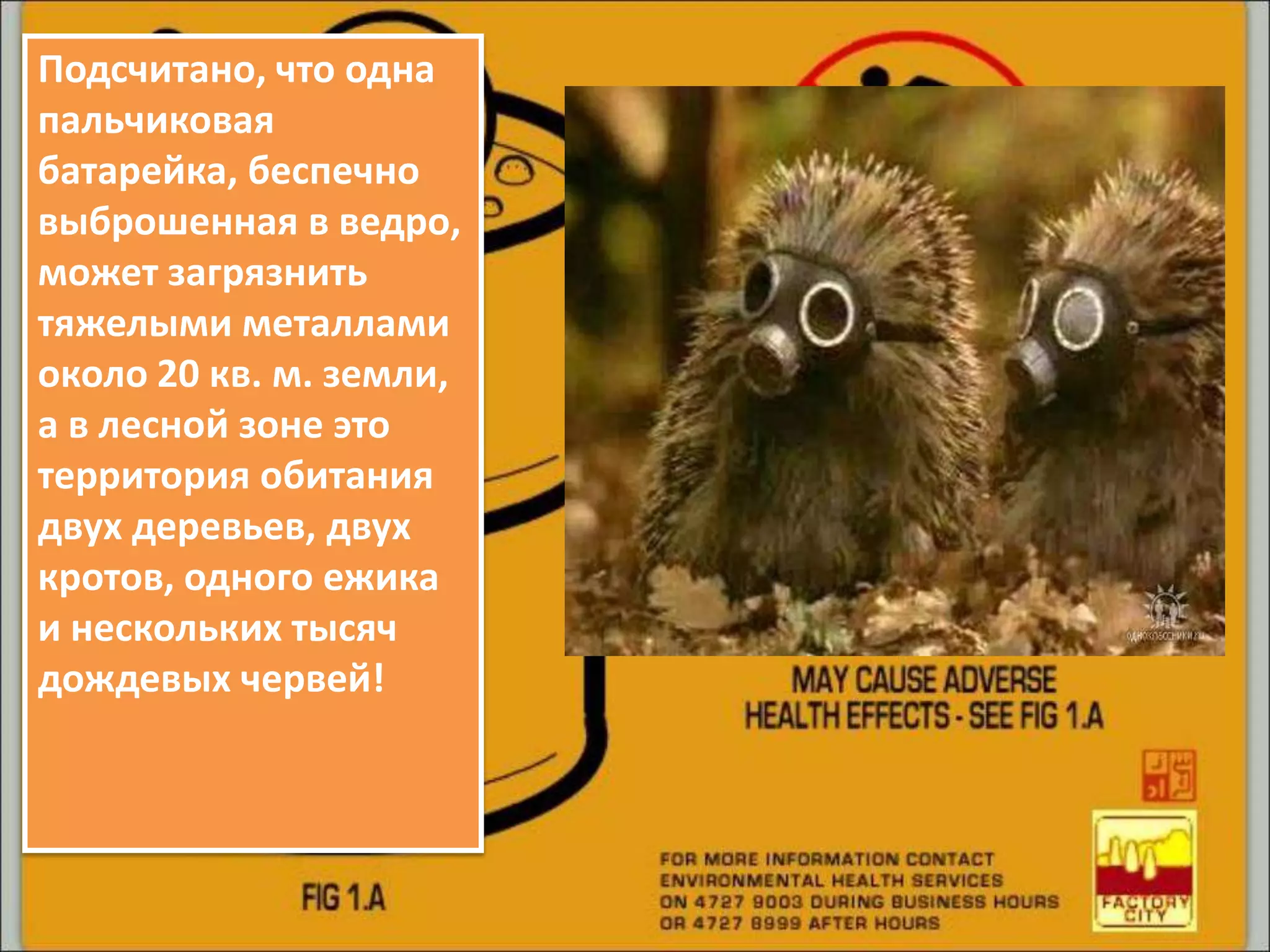 Подсчитано, что одна
пальчиковая
батарейка, беспечно
выброшенная в ведро,
может загрязнить
тяжелыми металлами
около 20 кв. м. земли,
а в лесной зоне это
территория обитания
двух деревьев, двух
кротов, одного ежика
и нескольких тысяч
дождевых червей!
 