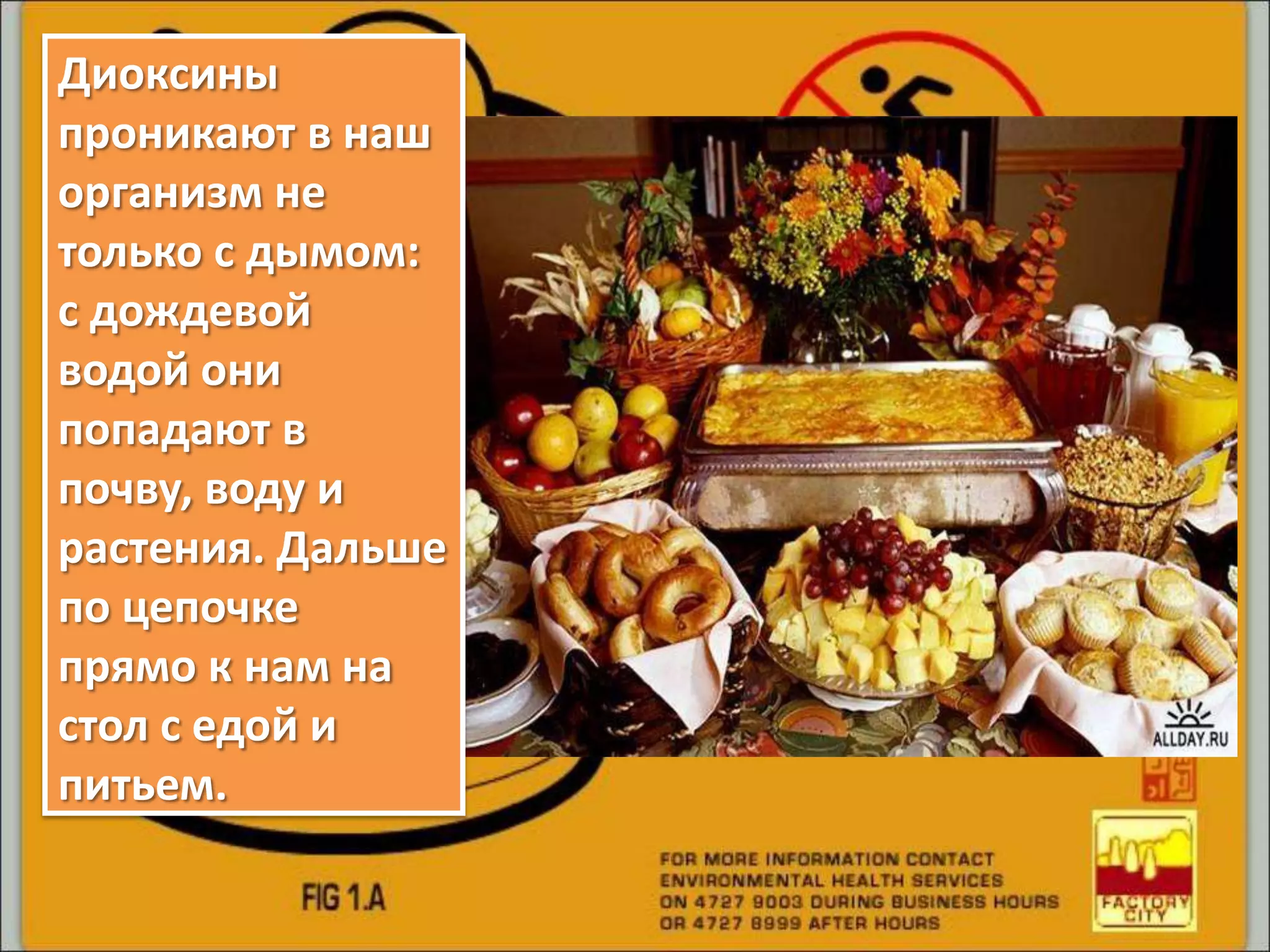 Диоксины
проникают в наш
организм не
только с дымом:
с дождевой
водой они
попадают в
почву, воду и
растения. Дальше
по цепочке
прямо к нам на
стол с едой и
питьем.
 