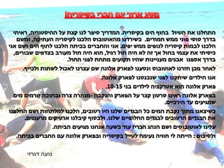 ‫נועה‬‫דגרזי‬
 