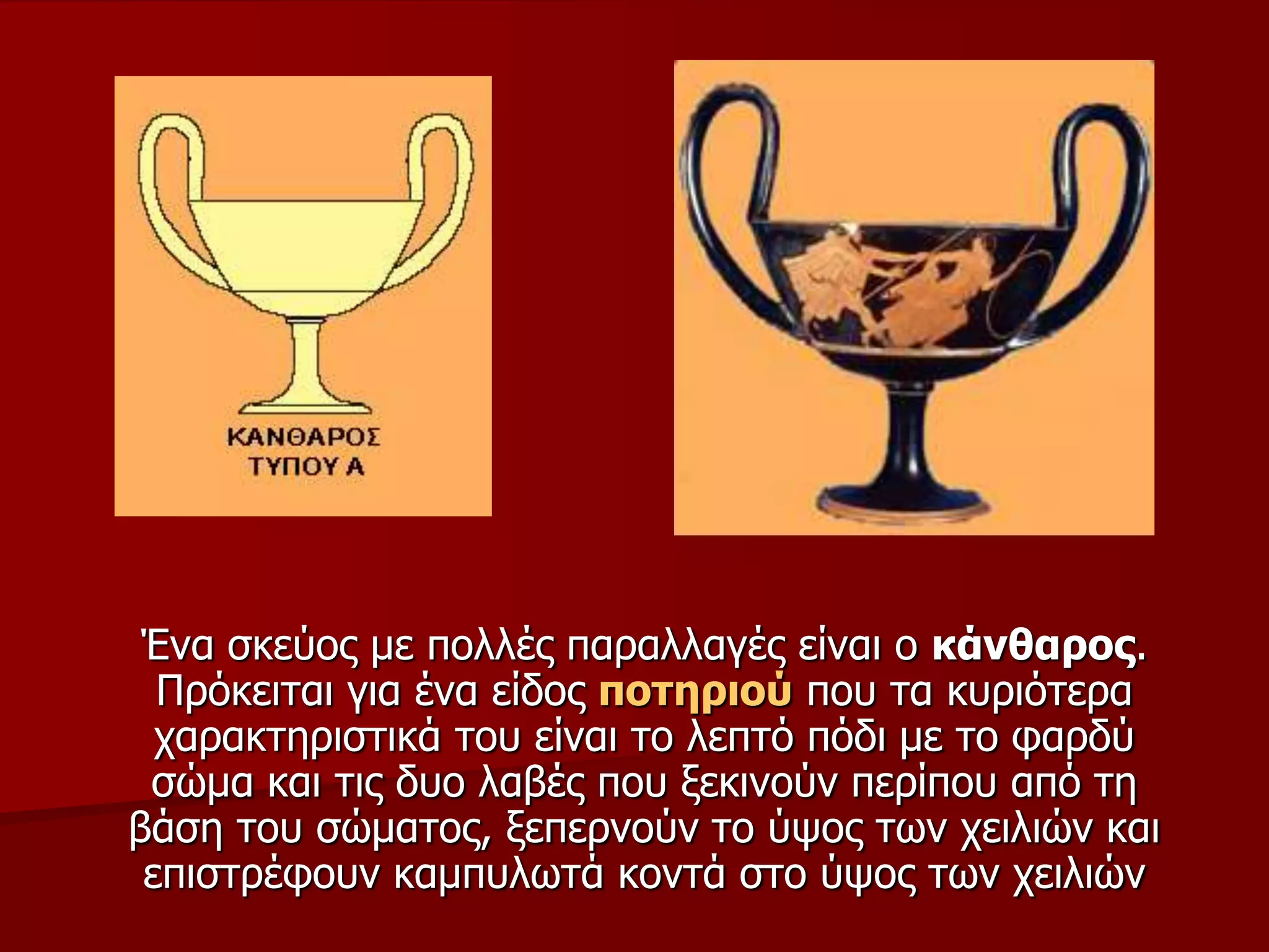 Έλα ζθεύνο κε πνιιέο παξαιιαγέο είλαη ν θάλζαξνο.
Πξόθεηηαη γηα έλα είδνο πνηεξηνύ πνπ ηα θπξηόηεξα
ραξαθηεξηζηηθά ηνπ είλαη ην ιεπηό πόδη κε ην θαξδύ
ζώκα θαη ηηο δπν ιαβέο πνπ μεθηλνύλ πεξίπνπ από ηε
βάζε ηνπ ζώκαηνο, μεπεξλνύλ ην ύςνο ησλ ρεηιηώλ θαη
επηζηξέθνπλ θακππισηά θνληά ζην ύςνο ησλ ρεηιηώλ
 