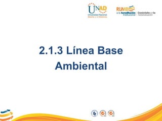 2.1.3 Línea Base
Ambiental
 