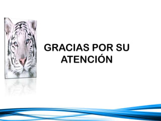 GRACIAS POR SU
ATENCIÓN
 