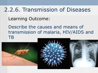 2.2.6. Transmission of Diseases
Learning Outcome:
Describe the causes and means of
transmission of malaria, HIV/AIDS and
TB
 