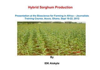 Hybrid Sorghum Production
Presentation at the Bioscience for Farming in Africa – Journalists
Training Course, Accra, Ghana, Sept 19-22, 2012
By
IDK Atokple
 