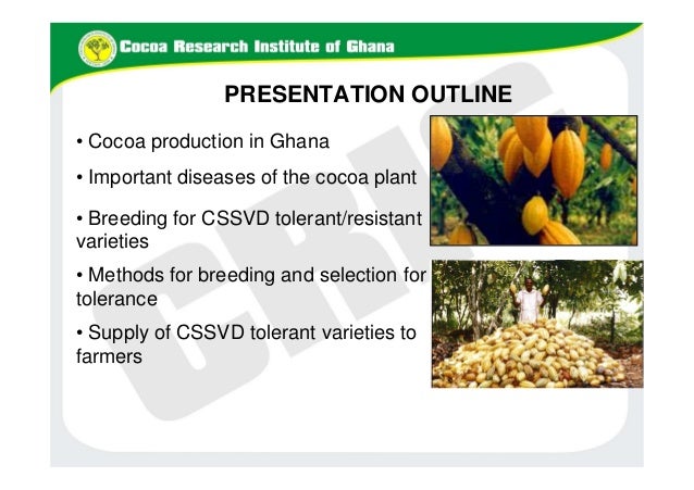 B4FA 2012 Ghana: Cocoa Breeding in Ghana - George Ameyaw