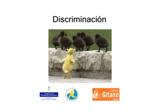 DiscriminaciónDiscriminaciónDiscriminaciónDiscriminación
 