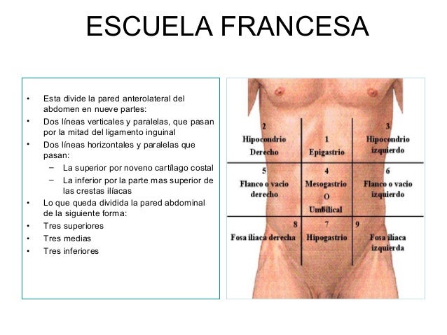 Adelgazar en 30 ru