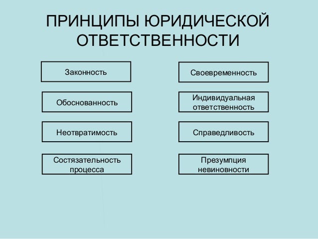 Схема правонарушения и юридическая ответственность. Классификация информационных знаков Товароведение. Схема классификация информационных знаков. Информационный знак для класса. Виды политического текста.