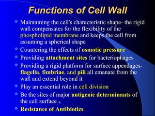 FunctionsFunctions of Cell Wallof Cell Wall
 Maintaining the cell's characteristic shape- the rigid
wall compensates for the flexibility of the
phospholipid membrane and keeps the cell from
assuming a spherical shape
 Countering the effects of osmotic pressure
 Providing attachment sites for bacteriophages
 Providing a rigid platform for surface appendages-
flagella, fimbriae, and pili all emanate from the
wall and extend beyond it
 Play an essential role in cell division
 Be the sites of major antigenic determinants of
the cell surface 。
 Resistance of Antibiotics
 