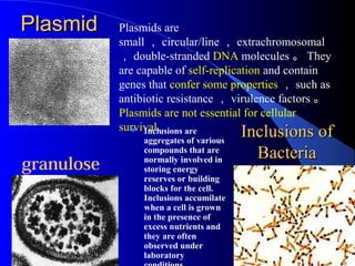 PlasmidPlasmid Plasmids are
small ， circular/line ， extrachromosomal
， double-stranded DNA molecules 。 They
are capable of self-replication and contain
genes that confer some properties ， such as
antibiotic resistance ， virulence factors 。
Plasmids are not essential for cellular
survival.
Inclusions ofInclusions of
BacteriaBacteria
 Inclusions are
aggregates of various
compounds that are
normally involved in
storing energy
reserves or building
blocks for the cell.
Inclusions accumilate
when a cell is grown
in the presence of
excess nutrients and
they are often
observed under
laboratory
granulose
 