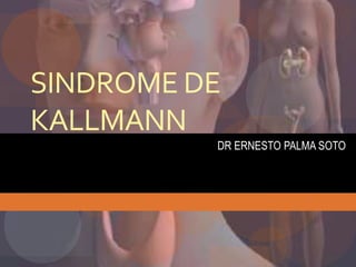 SINDROME DE
KALLMANN
DR ERNESTO PALMA SOTO
 