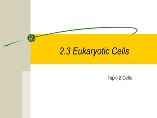 2.3 Eukaryotic Cells
Topic 2 Cells
 