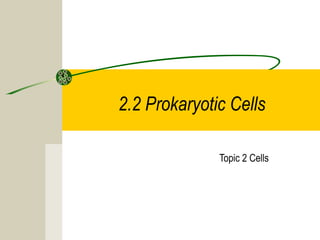 2.2 Prokaryotic Cells
Topic 2 Cells
 