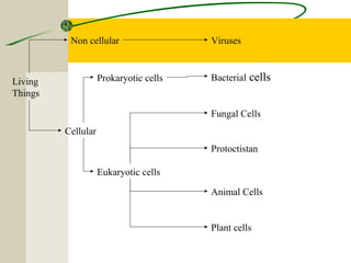 Living
Things
Non cellular Viruses
Bacterial cells
Fungal Cells
Protoctistan
Animal Cells
Plant cells
Cellular
Prokaryotic cells
Eukaryotic cells
 