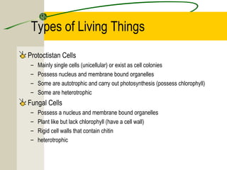Types of Living Things
Protoctistan Cells
– Mainly single cells (unicellular) or exist as cell colonies
– Possess nucleus and membrane bound organelles
– Some are autotrophic and carry out photosynthesis (possess chlorophyll)
– Some are heterotrophic
Fungal Cells
– Possess a nucleus and membrane bound organelles
– Plant like but lack chlorophyll (have a cell wall)
– Rigid cell walls that contain chitin
– heterotrophic
 