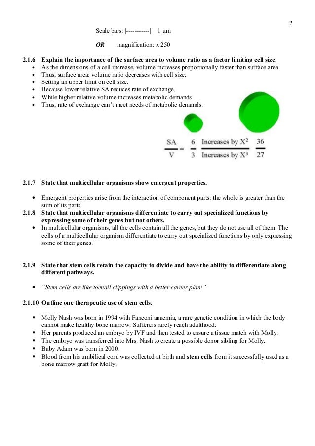 2.1 cell theory notes
