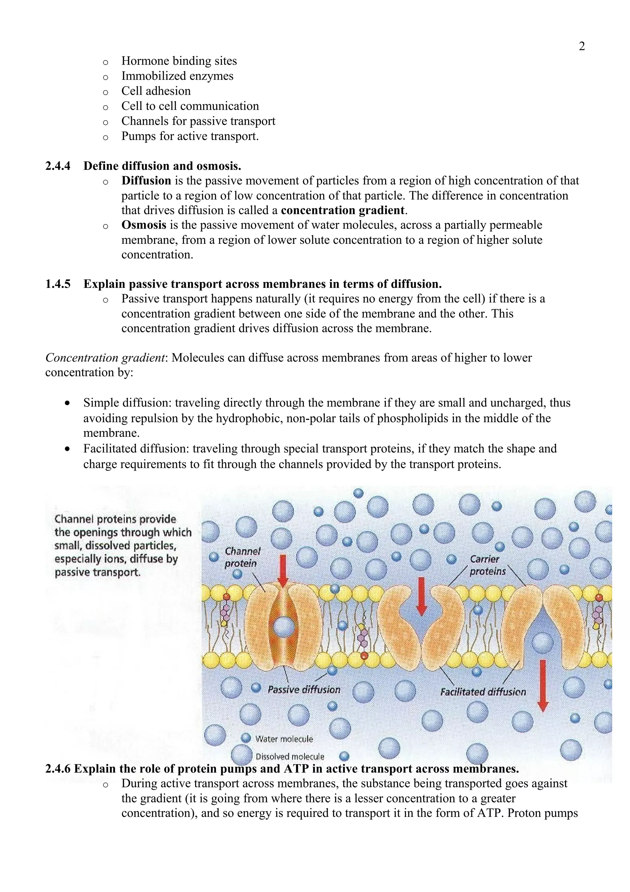 ATP Driven Pumps II: P-type Pumps, image size:2048x2898