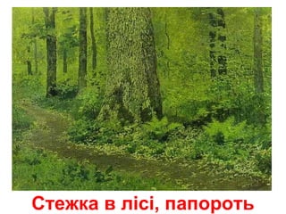 Стежка в лісі, папороть
 