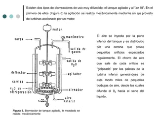 Existen dos tipos de biorreactores de uso muy difundido: el tanque agitado y al "air lift". En el
primero de ellos (Figura...