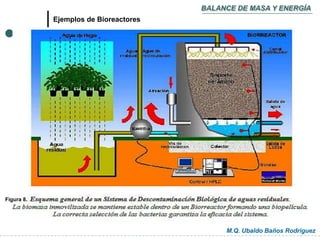 M.Q. Ubaldo Baños Rodríguez
Ejemplos de Bioreactores
BALANCE DE MASA Y ENERGÍA
Figura 8.
 