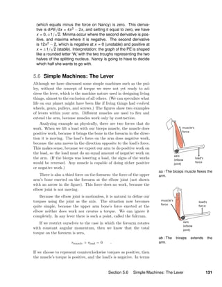 aa / The biceps muscle ﬂexes the
arm.
ab / The triceps extends the
arm.
(which equals minus the force on Nancy) is zero. This deriva-
tive is dPE/dx = 4x3 − 2x, and setting it equal to zero, we have
x = 0, ±1/
√
2. Minima occur where the second derivative is pos-
itive, and maxima where it is negative. The second derivative
is 12x2 − 2, which is negative at x = 0 (unstable) and positive at
x = ±1/
√
2 (stable). Interpretation: the graph of the PE is shaped
like a rounded letter ‘W,’ with the two troughs representing the two
halves of the splitting nucleus. Nancy is going to have to decide
which half she wants to go with.
5.6 Simple Machines: The Lever
Although we have discussed some simple machines such as the pul-
ley, without the concept of torque we were not yet ready to ad-
dress the lever, which is the machine nature used in designing living
things, almost to the exclusion of all others. (We can speculate what
life on our planet might have been like if living things had evolved
wheels, gears, pulleys, and screws.) The ﬁgures show two examples
of levers within your arm. Diﬀerent muscles are used to ﬂex and
extend the arm, because muscles work only by contraction.
Analyzing example aa physically, there are two forces that do
work. When we lift a load with our biceps muscle, the muscle does
positive work, because it brings the bone in the forearm in the direc-
tion it is moving. The load’s force on the arm does negative work,
because the arm moves in the direction opposite to the load’s force.
This makes sense, because we expect our arm to do positive work on
the load, so the load must do an equal amount of negative work on
the arm. (If the biceps was lowering a load, the signs of the works
would be reversed. Any muscle is capable of doing either positive
or negative work.)
There is also a third force on the forearm: the force of the upper
arm’s bone exerted on the forearm at the elbow joint (not shown
with an arrow in the ﬁgure). This force does no work, because the
elbow joint is not moving.
Because the elbow joint is motionless, it is natural to deﬁne our
torques using the joint as the axis. The situation now becomes
quite simple, because the upper arm bone’s force exerted at the
elbow neither does work nor creates a torque. We can ignore it
completely. In any lever there is such a point, called the fulcrum.
If we restrict ourselves to the case in which the forearm rotates
with constant angular momentum, then we know that the total
torque on the forearm is zero,
τmuscle + τload = 0 .
If we choose to represent counterclockwise torques as positive, then
the muscle’s torque is positive, and the load’s is negative. In terms
Section 5.6 Simple Machines: The Lever 131
 