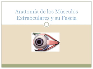 Anatomía de los Músculos
Extraoculares y su Fascia
 