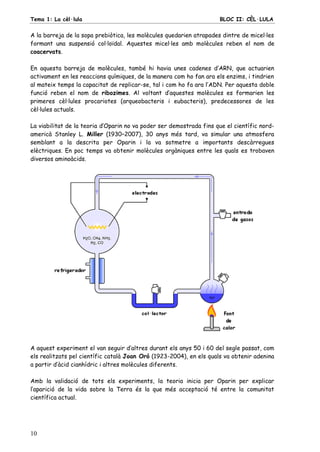 Tema 1: La cèl·lula BLOC II: CÈL·LULA
10
A la barreja de la sopa prebiòtica, les molècules quedarien atrapades dintre de micel·les
formant una suspensió col·loïdal. Aquestes micel·les amb molècules reben el nom de
coacervats.
En aquesta barreja de molècules, també hi havia unes cadenes d’ARN, que actuarien
activament en les reaccions químiques, de la manera com ho fan ara els enzims, i tindrien
al mateix temps la capacitat de replicar-se, tal i com ho fa ara l’ADN. Per aquesta doble
funció reben el nom de ribozimes. Al voltant d’aquestes molècules es formarien les
primeres cèl·lules procariotes (arqueobacteris i eubacteris), predecessores de les
cèl·lules actuals.
La viabilitat de la teoria d’Oparin no va poder ser demostrada fins que el científic nord-
americà Stanley L. Miller (1930–2007), 30 anys més tard, va simular una atmosfera
semblant a la descrita per Oparin i la va sotmetre a importants descàrregues
elèctriques. En poc temps va obtenir molècules orgàniques entre les quals es trobaven
diversos aminoàcids.
A aquest experiment el van seguir d’altres durant els anys 50 i 60 del segle passat, com
els realitzats pel científic català Joan Oró (1923-2004), en els quals va obtenir adenina
a partir d’àcid cianhídric i altres molècules diferents.
Amb la validació de tots els experiments, la teoria inicia per Oparin per explicar
l’aparició de la vida sobre la Terra és la que més acceptació té entre la comunitat
científica actual.
 