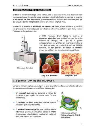 BLOC II: CÈL·LULA Tema 1: La cèl·lula
3
DESENVOLUPAMENT DE LA MICROSCOPIA.
El 1892 va néixer la citologia com a ciència, amb la publicació d’una obra de síntesi dels
coneixements que fins aleshores es tenia sobre la cèl·lula. Posteriorment es va inventar
el microscopi de llum ultraviolada, que necessita lents de quars molt costoses però que
aconsegueix detalls més precisos, gràcies a la menor longitud d’ona.
El 1930 es va inventar el microscopi de contrast de fases, que no necessita la tinció de
les preparacions microscòpiques per observar els petits detalls i, per tant, permet
l’observació d’organismes vius.
Microscopi electrònic
El 1932. l’a1emany Ernst Ruska va inventar el
microscopi electrònic, que va significar una autèntica
revolució en citologia, tot i que no va quedar
perfeccionat per ser utilitzat en microbiologia fins al
1952. Amb un poder de resolució de més de 100.000
augments, va ser possible de deduir la veritable
estructura cel·lular, que estudiarem en aquest tema.
Sang al m. electrònic Sang al m. òptic
2. L’ESTRUCTURA DE LES CÈL·LULES
La teoria cel·lular implica que, malgrat la gran diversitat morfològica, totes les cèl·lules
presenten una mínima estructura bàsica formada per:
Un embolcall, que separa o comunica la cèl·lula de
l’exterior i que regula l’intercanvi amb l’entorn
(membrana).
El contingut cel·lular, on es duen a terme tots els
processos químics (citoplasma).
El material hereditari (ADN), que codiﬁca tota la
informació genètica. L’estructura bàsica de l’ADN
és comuna en tots els éssers vius i es pot trobar al
nucli o bé dispers pel citoplasma.
1.Membrana cel·lular.
2.Material genètic (ADN).
3.Citoplasma.
 