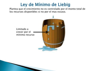 Plantea que el crecimiento no es controlado por el monto total de
los recursos disponibles si no por el mas escaso.
Limitado a
crecer por el
mínimo recurso
 