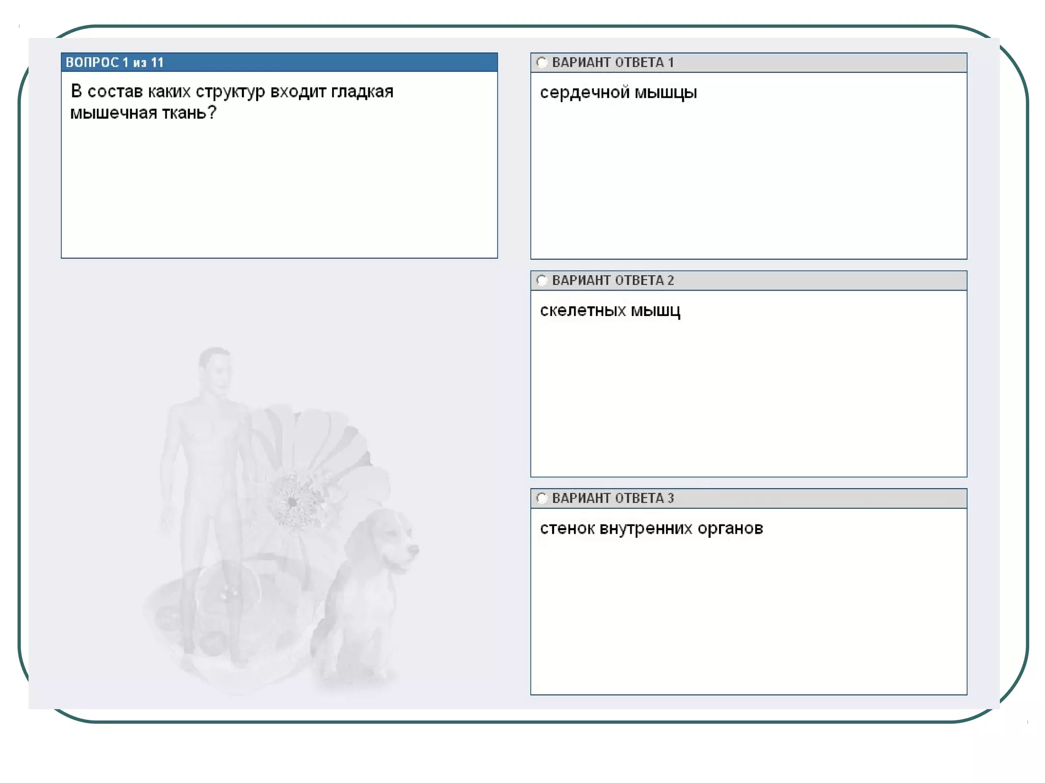 системы органов человека 2
