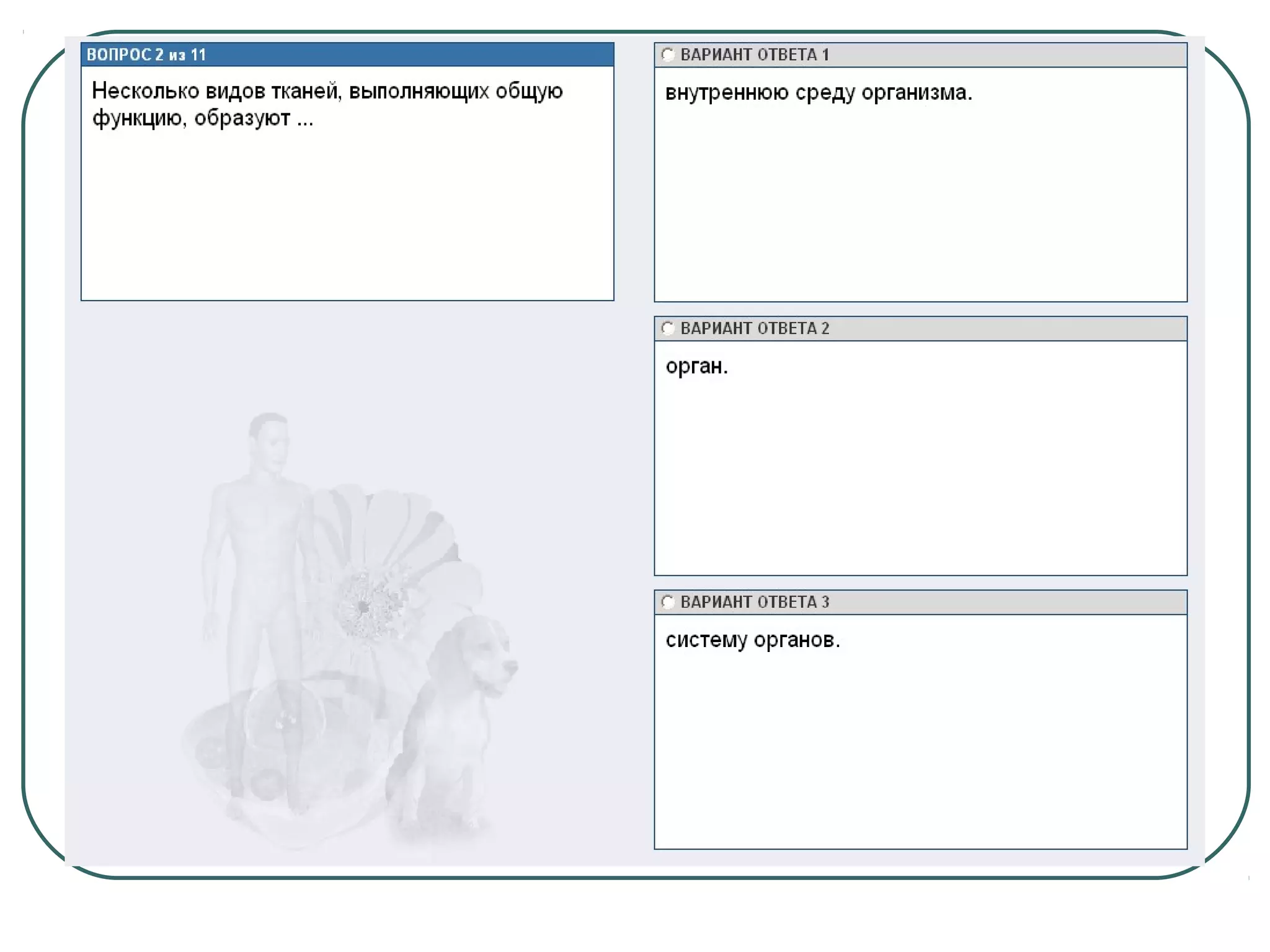 системы органов человека 2