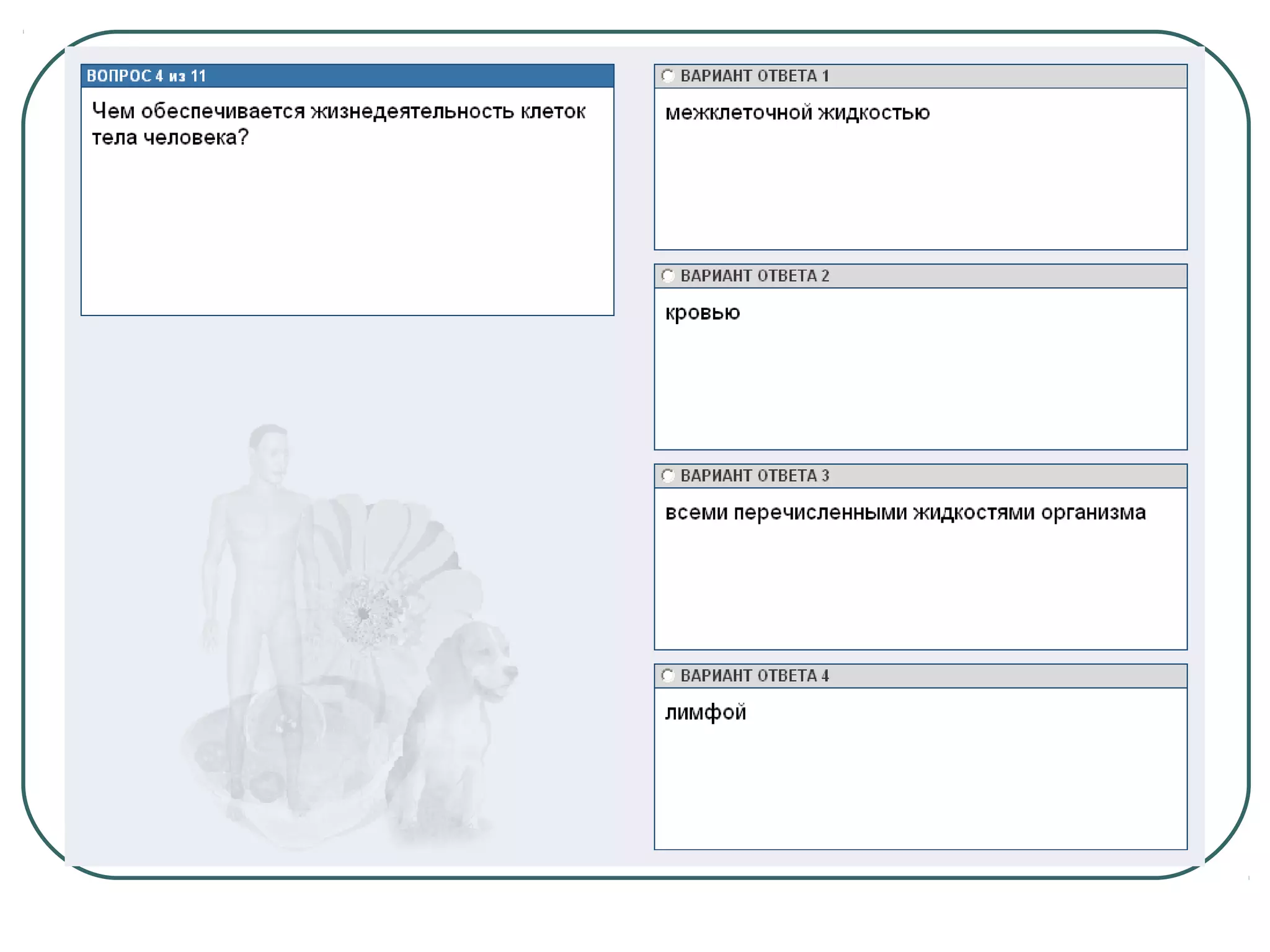 системы органов человека 2