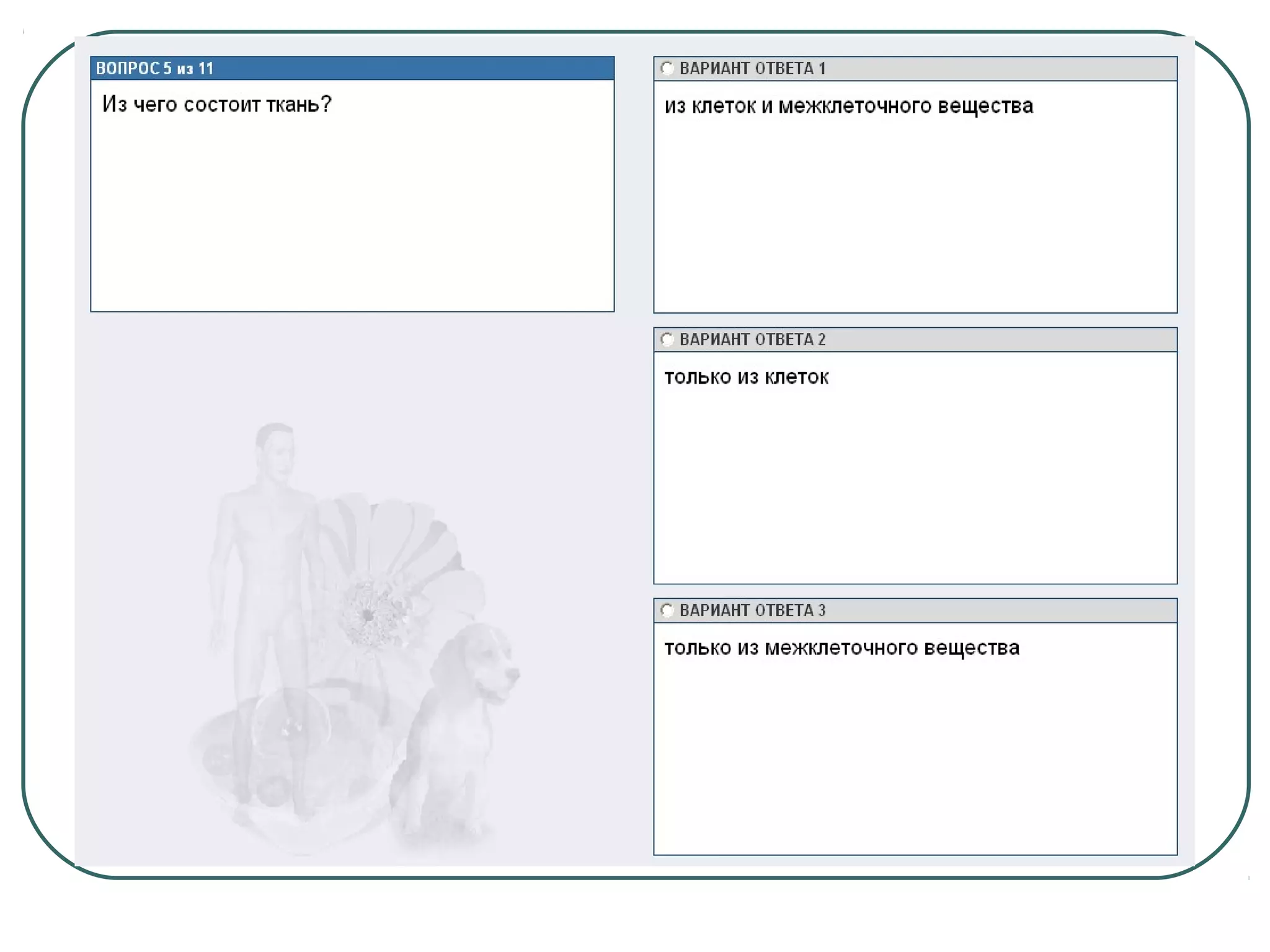 системы органов человека 2