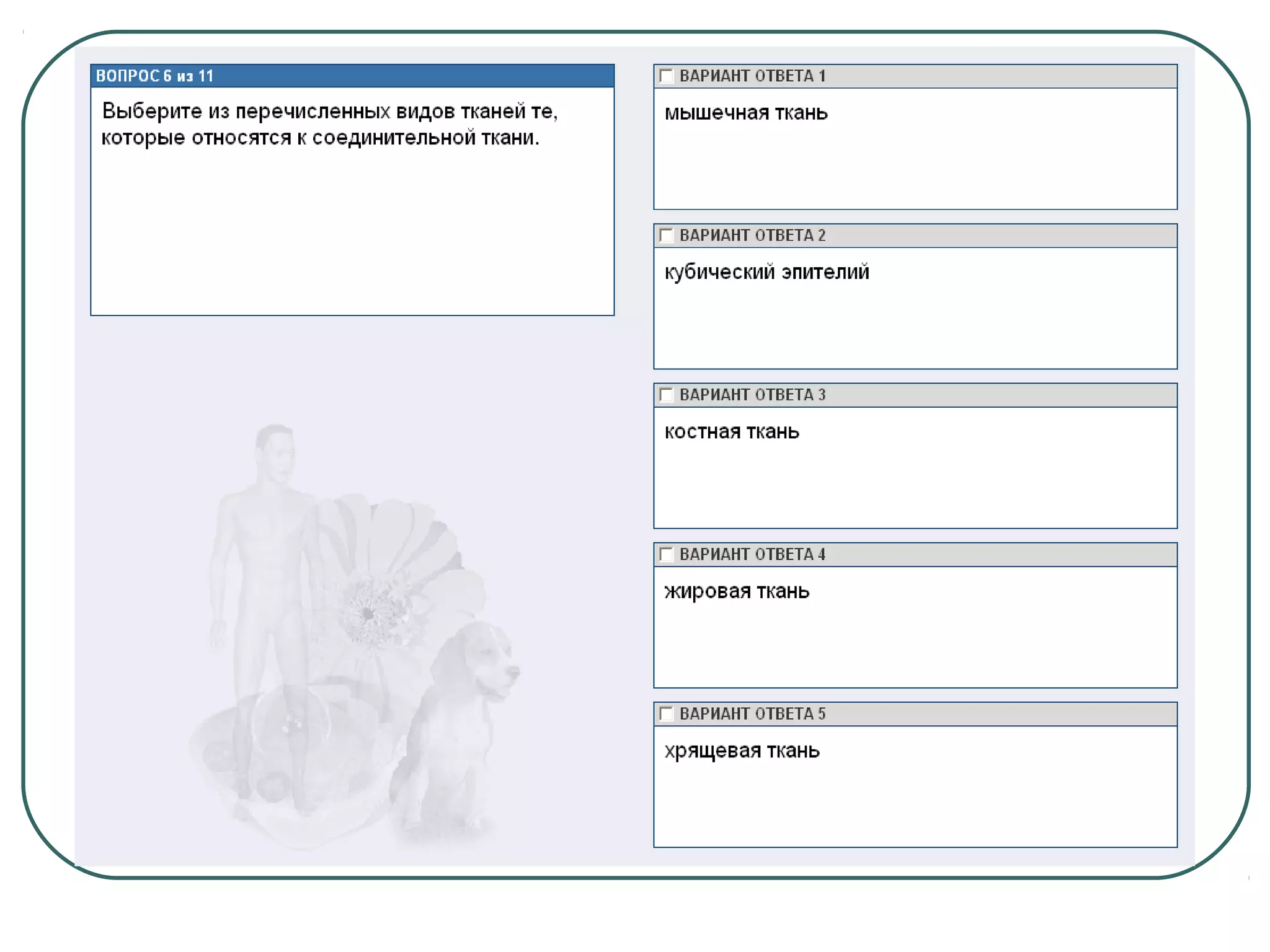 системы органов человека 2