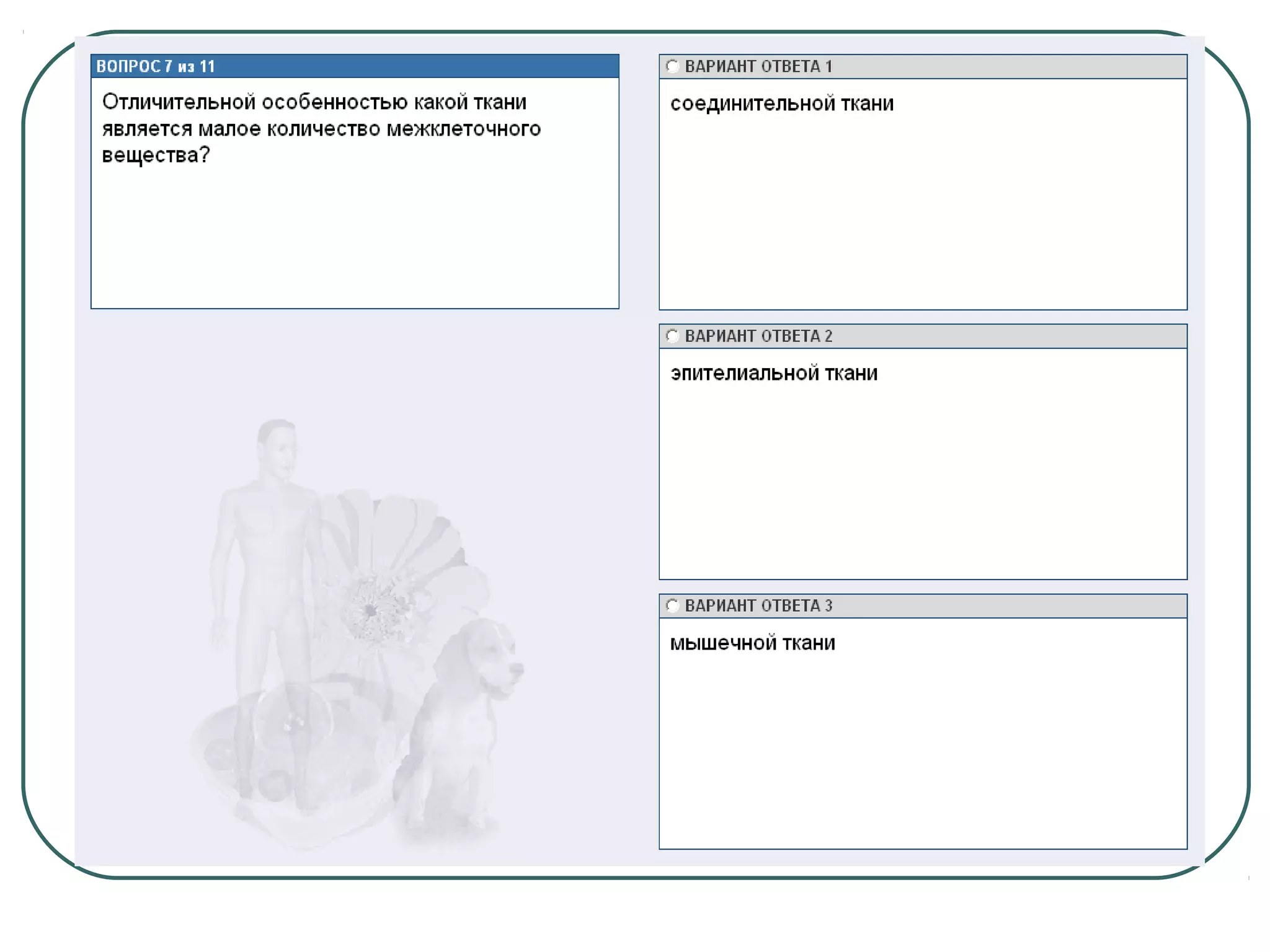 системы органов человека 2