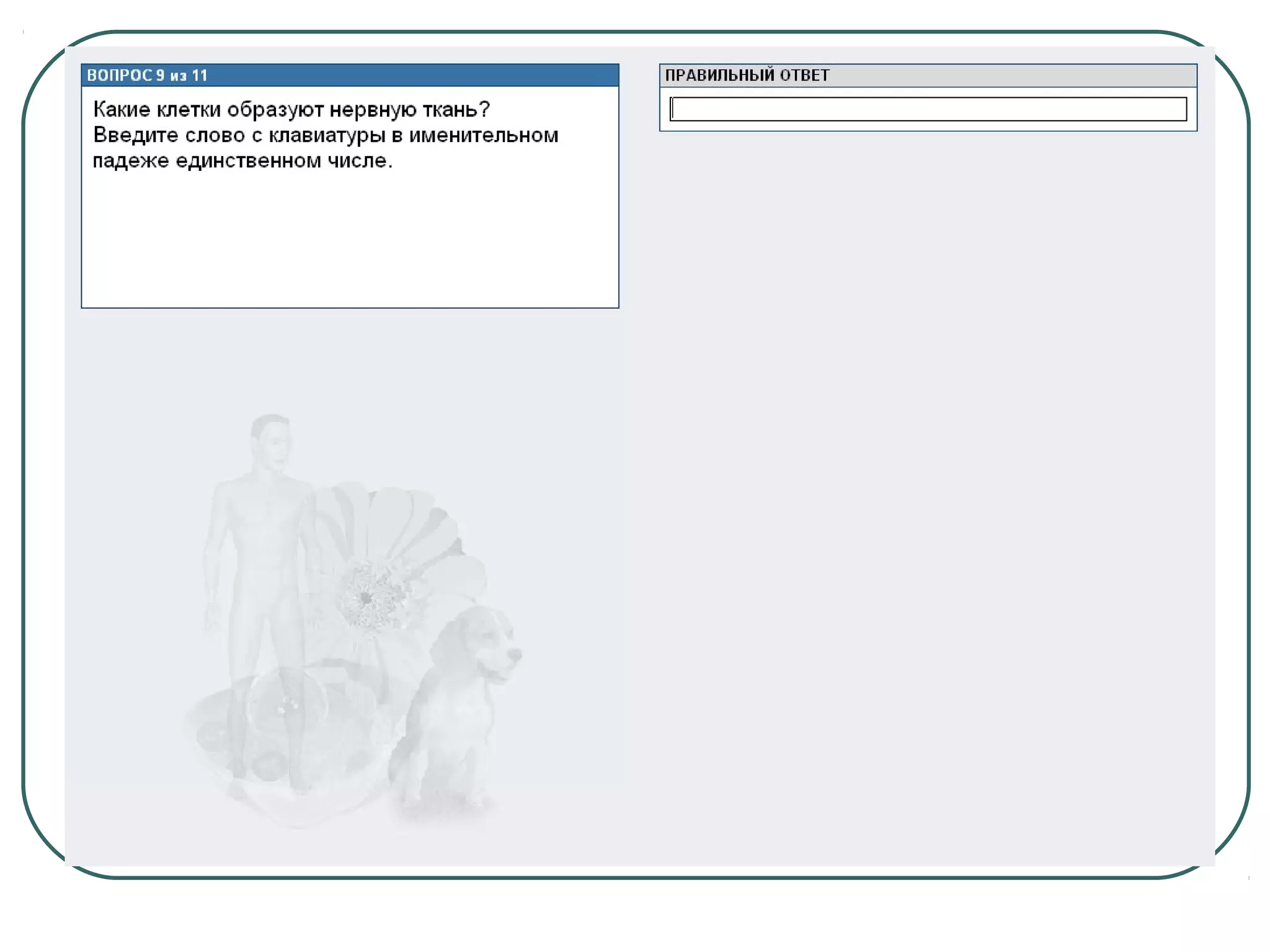 системы органов человека 2