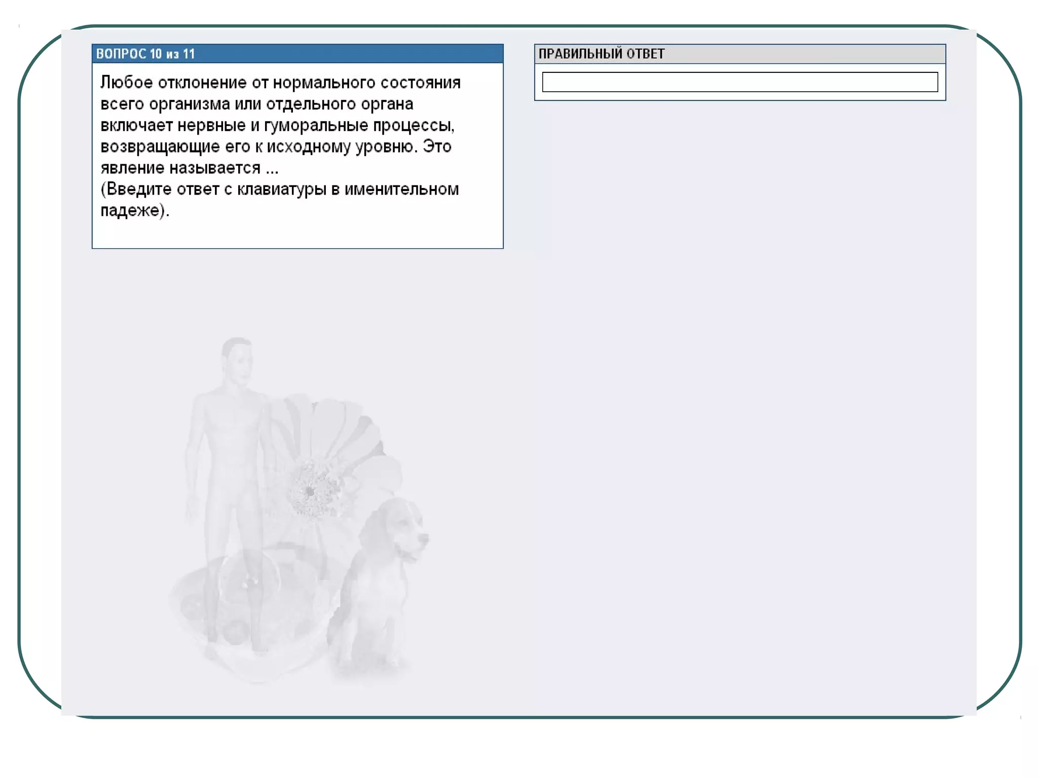 системы органов человека 2