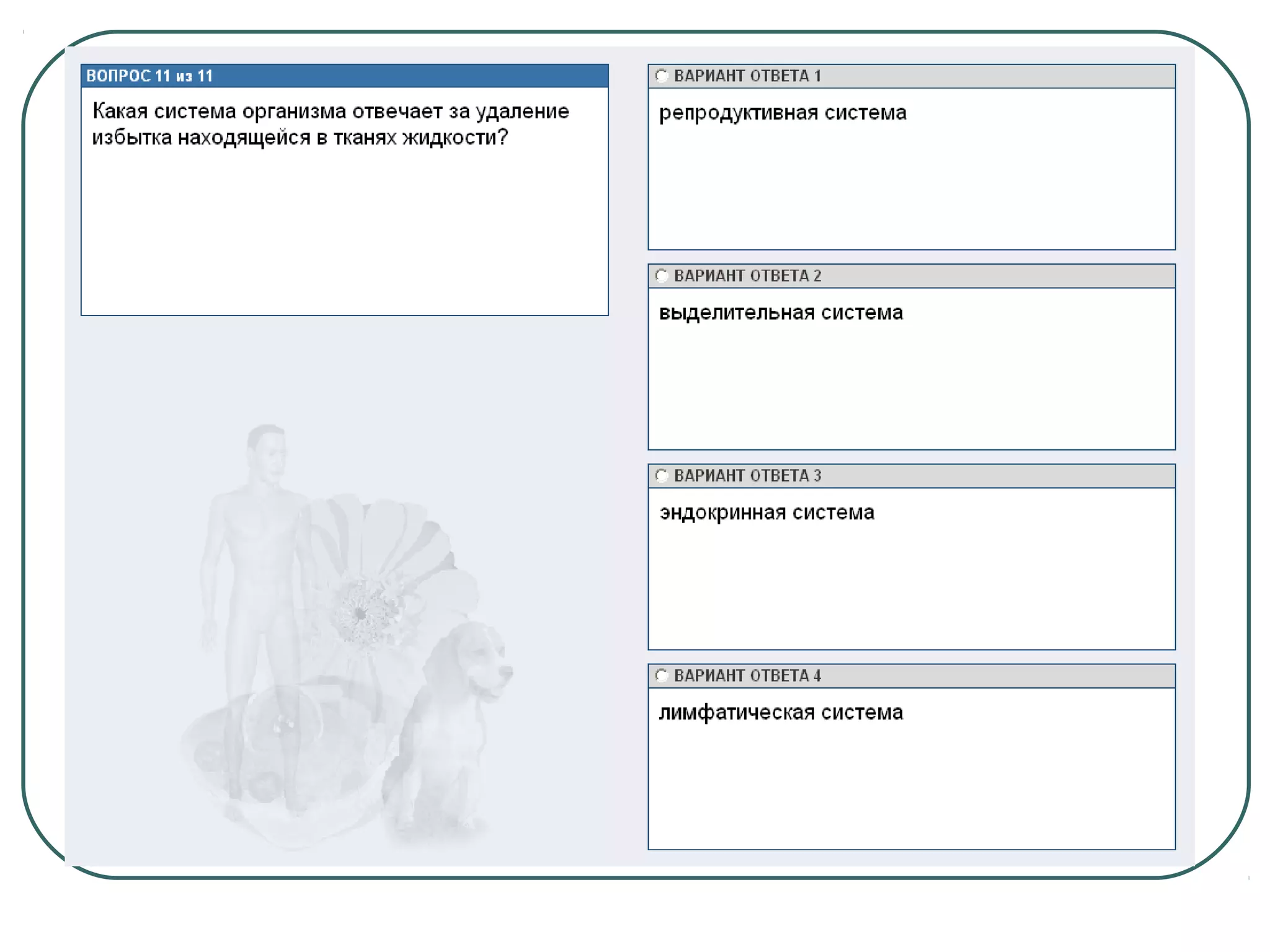 системы органов человека 2