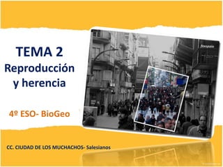 CC. CIUDAD DE LOS MUCHACHOS- Salesianos
TEMA 2
Reproducción
y herencia
4º ESO- BioGeo
 
