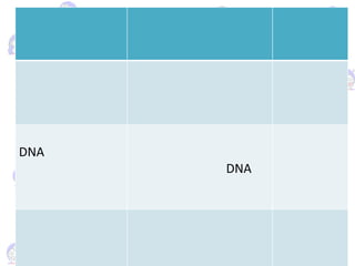 DNA
DNA
 