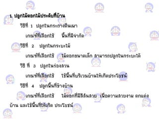 1. ปลูกไม้ดอแกกไม้ประดับที่บ้าน
วิธีที่ 1 ปลูกในกระถางดินเผา
เกณฑ์ที่เลือแกกใช้ พื้นที่มีจ้ากัด
วิธีที่ 2 ปลูกในกระบะไม้
เกณฑ์ที่เลือแกกใช้ ไม้ดอแกกขนาดเล็ก สามารถปลูกในกระบะได้
วิธี ที่ 3 ปลูกในร่อแกงสวน
เกณฑ์ที่เลือแกกใช้ ใช้พื้นที่บริเวณบ้านให้เกิดประโยชน์
วิธีที่ 4 ปลูกพื้นที่ข้างบ้าน
เกณฑ์ที่เลือแกกใช้ ไม้ดอแกกที่มีสีสันสวย เพื่อแกความสวยงาม ตก้ต่ง
บ้าน ้ละใช้พื้นที่ให้เกิด ประโยชน์
 